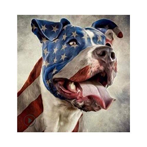 Ingzy 5D DIY Diamond Painting Kits Flag Dog,12x12in Crystal Diamond Art Kits Full Drill Cross Stitch Mosaic Embroidery Home Wall Decor