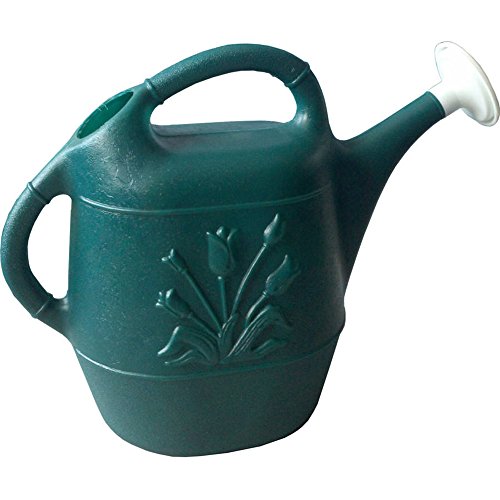 10 Best Plastic Watering Cans