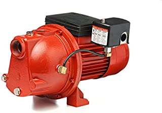 Red Lion 97081001 Cast Iron 1-HP 17-GPM Shallow Well Jet Pump, Red