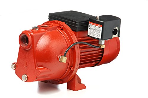 Red Lion 97081001 Cast Iron 1-HP 17-GPM Shallow Well Jet Pump, Red