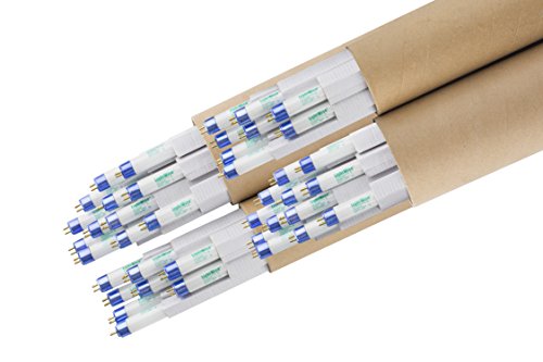 Lightwise 4-Feet 6500k T5 Ho Fluorescent Grow Light Bulbs - Pack of 40, 6500k - Blue - Veg