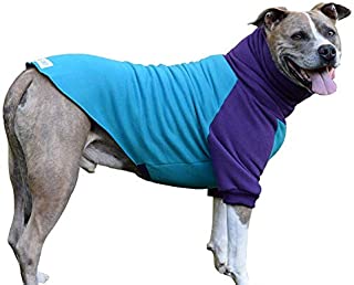 Tooth & Honey Big Dog Sweater/Pitbull/Bully Breed/Colorblock Sweatshirt/Pullover (Large)