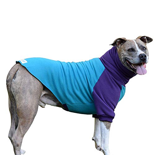 Tooth & Honey Big Dog Sweater/Pitbull/Bully Breed/Colorblock Sweatshirt/Pullover (Large)