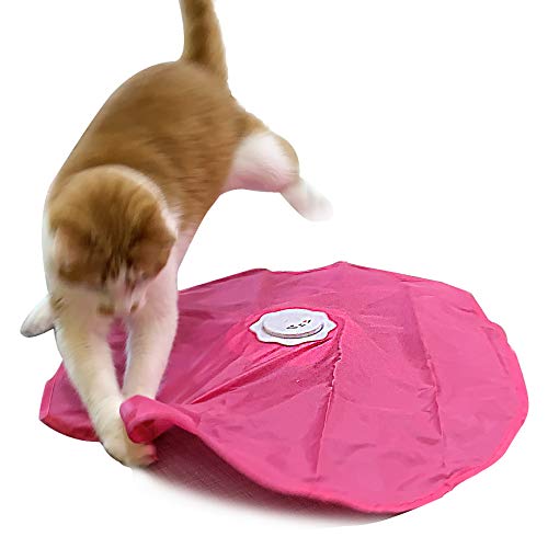 Interactive Cat Play-Catch The Tail-Electric, Rotating Feather , Motion, Automatic, Best Undercover Mouse Under Blanket cat Toy