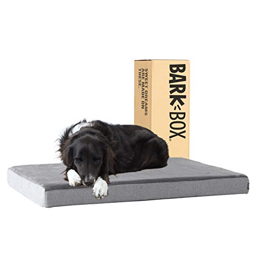 Barkbox Memory Foam Platform Dog Bed | Plush Mattress for Orthopedic Joint Relief (Large, Grey)