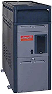 Raypak 014784 PR156AENC 150000 BTU Natural Gas Heater