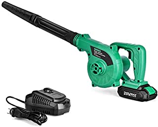 Cordless Leaf Blower - 20V 2.0 Ah Lithium Battery 2in1 Sweeper / Vacuum for Blowing Leaf, Clearing Dust & Small Trash,Car, Computer Host, Hard to Clean Corner