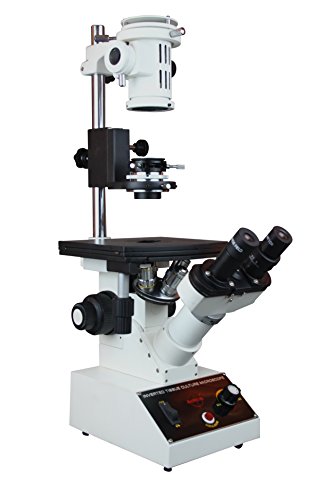 Radical Biology Inverted Tissue Culture Medical Live Cell Bacteria Microscope w Phase Contrast