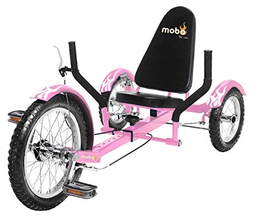 10 Best Recumbent Trike Bags