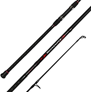 Fiblink Surf Spinning Fishing Rod 2-Piece Graphite Travel Fishing Rod (11-Feet)