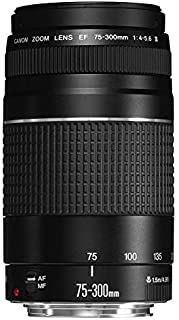 Canon EF 75-300mm f/4-5.6 III Telephoto Zoom Lens for Canon SLR Cameras