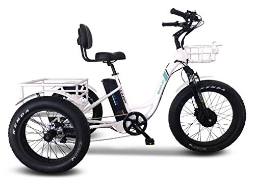 Emojo Caddy Pro Electrc_Trcycle 48V 500W Best Electrc_Tre for Adults 24 Inch Fat Tire 3 Wheel E_Bie Electrc_Bie Rear Basket Cargo for Heavy Carrying (Caddy Pro in White)