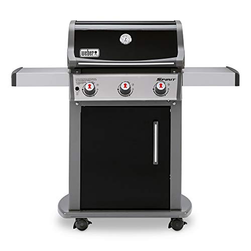 10 Best Grills Under 1000