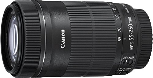 Canon EF-S 55-250mm f/4-5.6 IS STM Telephoto Zoom Lens (Import Model)