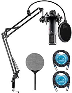 sE Electronics sE2200 Large-Diaphragm Condenser Microphone for Vocals, Acoustic/Electric Guitars, Drum Overheads Bundle with Blucoil Boom Arm Plus Pop Filter, and 2-Pack of 10-FT Balanced XLR Cables