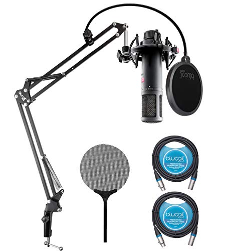 sE Electronics sE2200 Large-Diaphragm Condenser Microphone for Vocals, Acoustic/Electric Guitars, Drum Overheads Bundle with Blucoil Boom Arm Plus Pop Filter, and 2-Pack of 10-FT Balanced XLR Cables