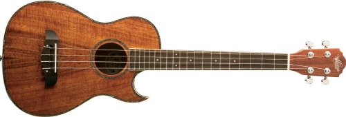 10 Best Electric Ukulele Under 500