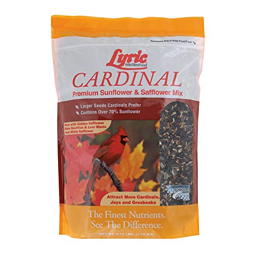 Lyric 2647467 Cardinal Premium Sunflower and Safflower Wild Bird Mix, 3.75 lb