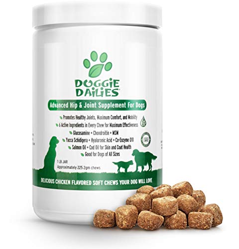 Doggie Dailies Glucosamine for Dogs, 225 Soft Chews, Advanced Hip and Joint Supplement for Dogs with Glucosamine, Chondroitin, MSM, Hyaluronic Acid and CoQ10, Premium Dog Glucosamine (Chicken)