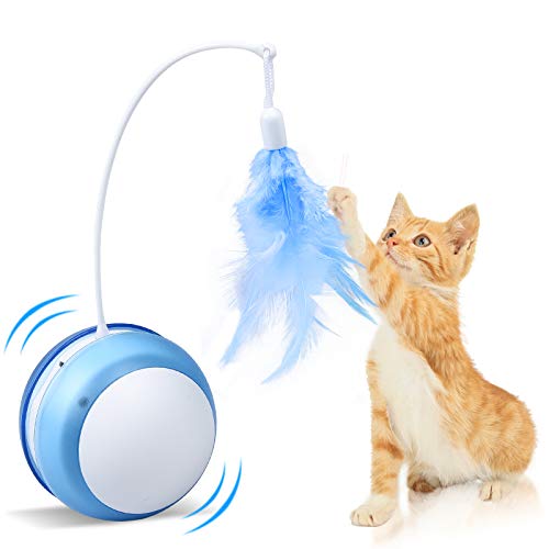 Interactive Cat Feather Toy Ball, USB Charging Automatic 360 Degree Rotating with LED Light, Bird Sounds and Replaceable Feather, Weight Loss Toy for Indoor Cat Kitten