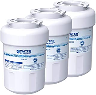 Waterspecialist MWF Water Filter for GE Refrigerator, Replacement for GE Smart Water Plus Filter, HDX FMG-1, MWFA, GWF, MWFP, PL-100, GSE25HMHBHES, GSS25GSHGCSS, 3 Filters for Fridge