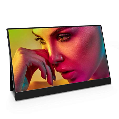 Vissles Portable Monitor 15.6 Inch 1080P Full HD Computer Display USB C Eye Care IPS Screen with Dual Type-C HDMI Speakers Brightness Memorize Portable Gaming Monitor for Laptop PC Mac Phone Xbox PS4