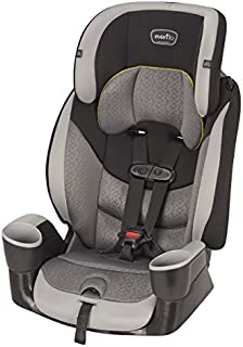 Evenflo Maestro Sport Harness Booster Car Seat, Crestone Peaks