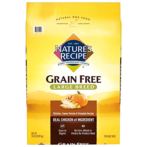 Nature's Recipe Grain Free Chicken, Sweet Potato & Pumpkin Recipe Dry Dog Food for Large Breeds, 24 Pounds, Easy to Digest