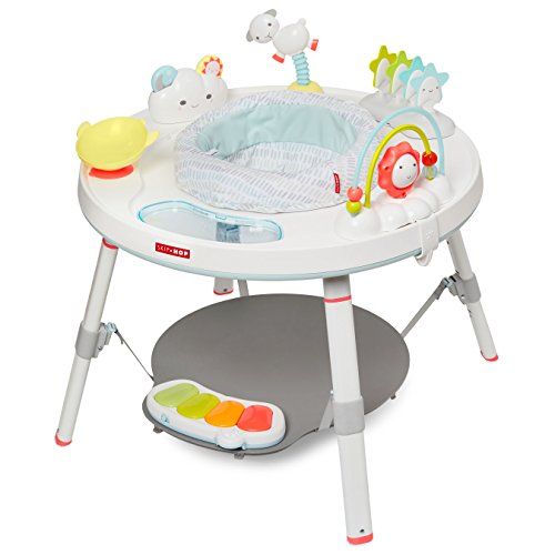 10 Best Activity Centers For Babies