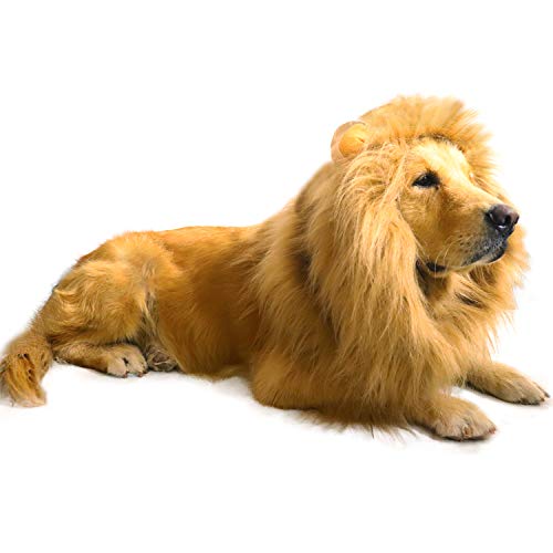 AQCSS Dog Lion Mane Costume,Lion Mane Wig Costumes for Medium to Large Sized Dog with Ears & Tail Halloween Lion Costumes