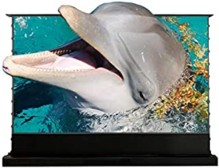 VIVIDSTORM-Floor Screen PRO 120 inch Motorized Electric Screen Home Theater Ambient Light Rejecting Screen Movie or Office Presentation Video Screen Compatible with UST Laser Projector,VMDSTUST120H