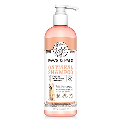 Paws & Pals 5-In-1 Oatmeal Dog Shampoo, Conditions, Detangles, Moisturizes, Anti Itch, Odor Control - Made in USA w/Medicated Clinical Vet Formula - Best for Dog, Cat & Pets w/ Dry Itchy Skin | 20 oz