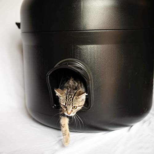 10 Best Heated Feral Cat House