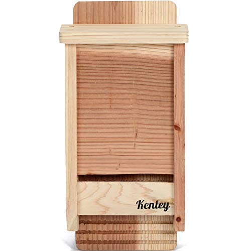 Kenley Bat House - Outdoor Bat Box Shelter with Single Chamber - Handcrafted from Cedar Wood - Easy for Bats to Land and Roost - Weather Resistant & Ready to Install