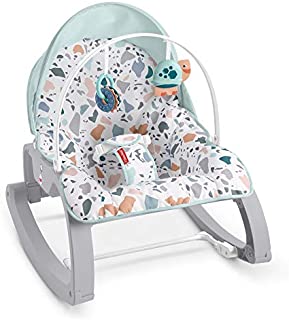 Fisher-Price Deluxe Infant-to-Toddler Rocker Seat - Pacific Pebble, Multi