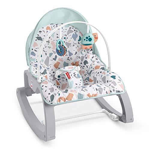 Fisher-Price Deluxe Infant-to-Toddler Rocker Seat - Pacific Pebble, Multi