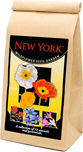 New York Wildflower Seed Mix - A Beautiful Collection of Twelve Annuals and Perennials - Over 40,000 Premium Seeds - Enjoy New York Flowers in Your own Garden