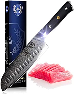 Santoku chef Knife 7 inch: Best Quality professional scalloped hollow (granton) edge Japanese AUS-10 67 layer Damascus steel ultra sharp blade w/G-10 Ergonomic handle by the Regalia Knives