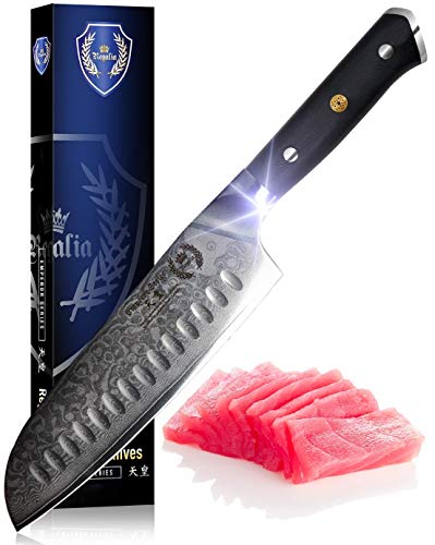 Santoku chef Knife 7 inch: Best Quality professional scalloped hollow (granton) edge Japanese AUS-10 67 layer Damascus steel ultra sharp blade w/G-10 Ergonomic handle by the Regalia Knives