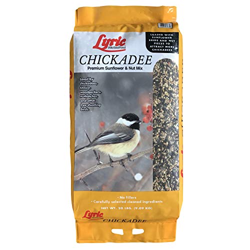 10 Best Bird Food For Chickadees