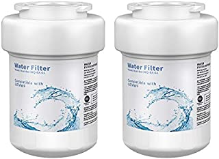 CLANORY MWF Refrigerator Water Filter, MWF Water Filter for GE Refrigerator (2Pack)