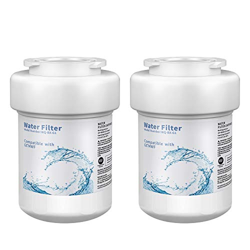 CLANORY MWF Refrigerator Water Filter, MWF Water Filter for GE Refrigerator (2Pack)