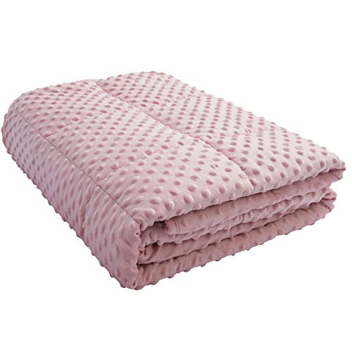 ALANSMA Reversible Weighted Blanket for All Season, Warm and Cool, Luxury Minky Velvet, Enjoy Sleeping Anywhere(Pink,15Lb)