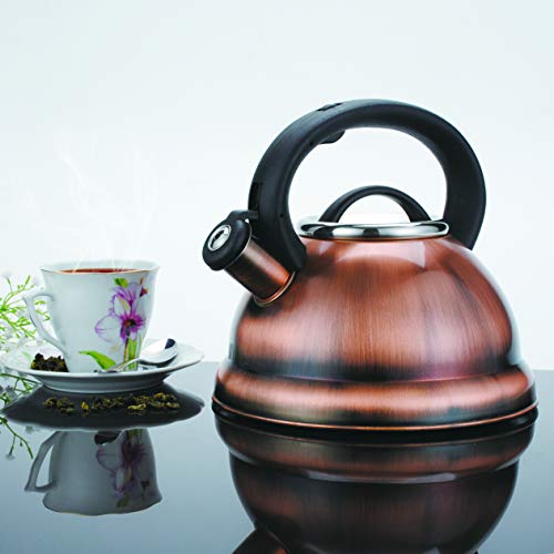 9 Best Whistling Copper Tea Kettle