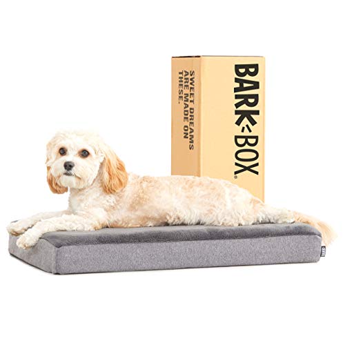 Barkbox Memory Foam Platform Dog Bed | Plush Mattress for Orthopedic Joint Relief (Small, Grey)