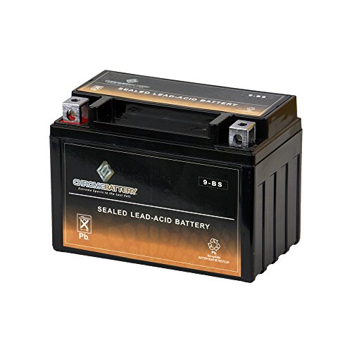 10 Best Motorcycle Battery For Gsxr 600