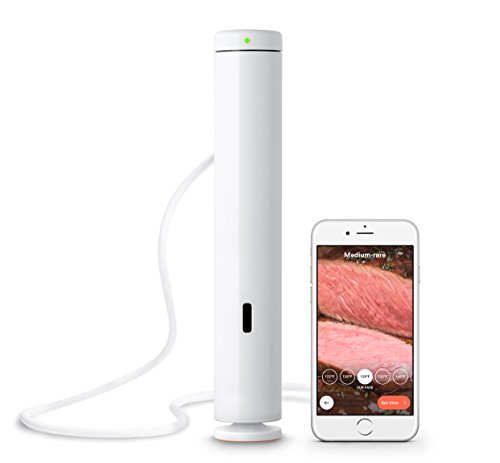 10 Best Sous Vide Cooker For Meat