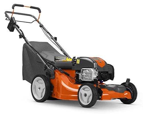 Husqvarna LC221FHE, 21 in. 163cc Briggs & Stratton Walk Behind Self-Propelled Mower