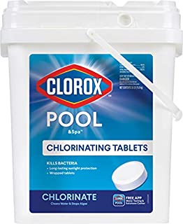 Clorox Pool&Spa Active99 3