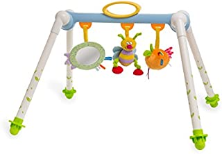 Taf Toys Take-To-Play Baby Gym | Babys All Time Entertainment, Baby Mirror, Detachable Toys, Foldable, Easy Storage And Mobility, No More Child Boredom, Easier Child Development And Parenting